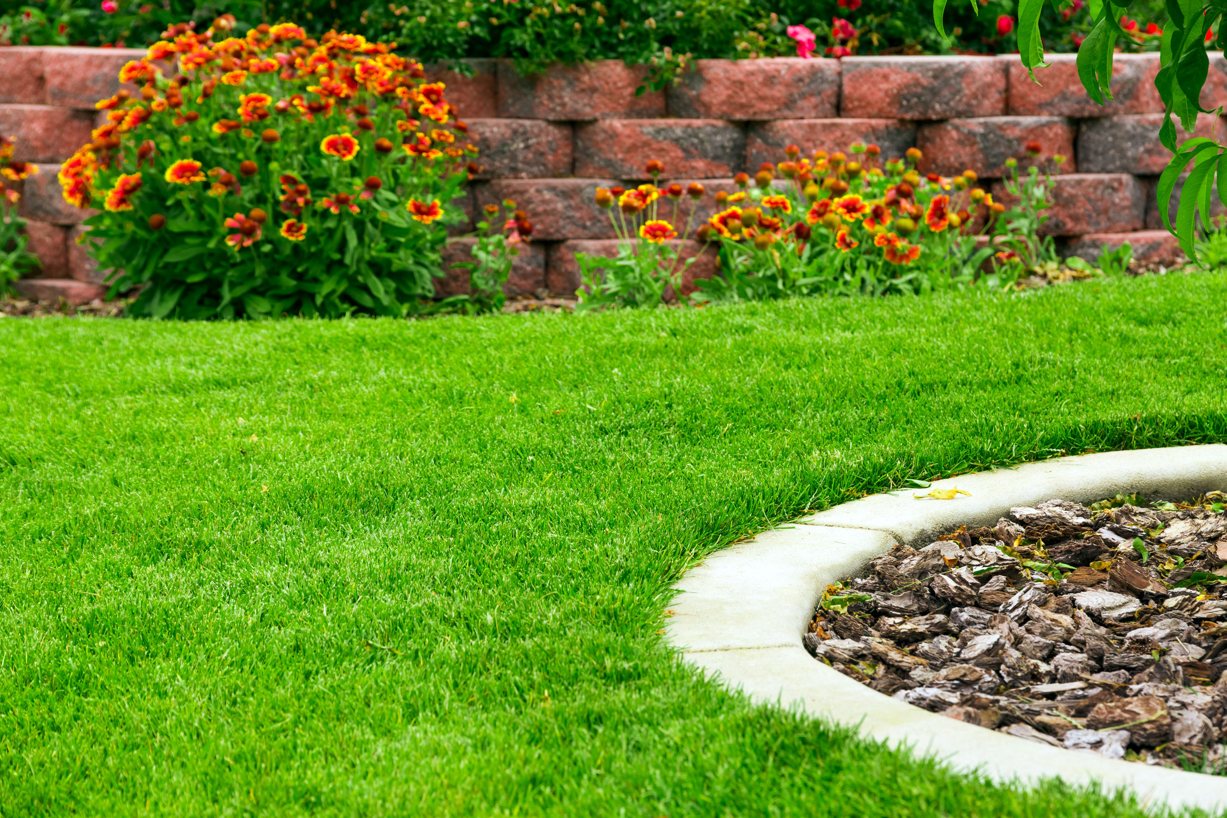 What You Should Know About Landscaping