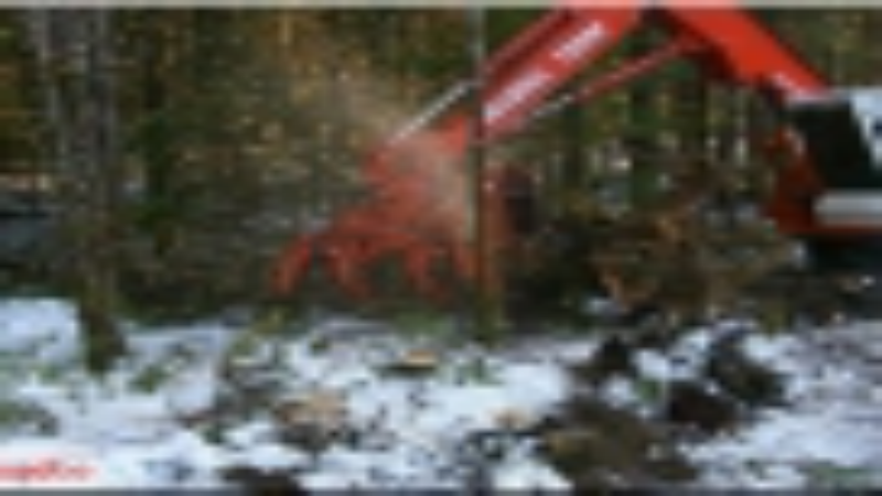 From Mulcher Bits to The Pros and Cons: The Basics of Forestry Mulching