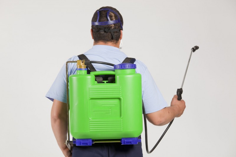 Find the Right Lakewood NJ Exterminators for Your Job