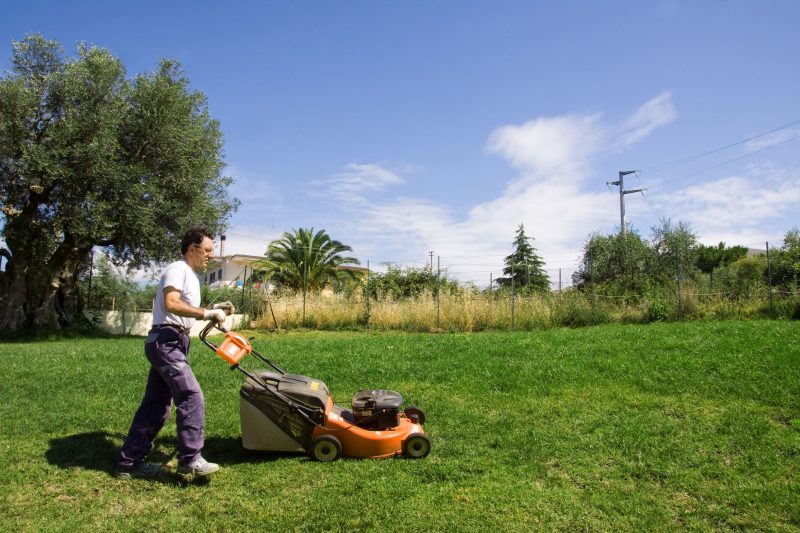 The Grass Really is Greener When You Use Ward’s Lawn Service Inc., for Your Lawn Maintenance
