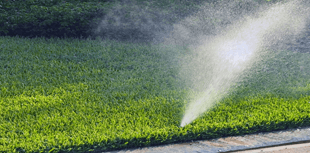 Signs it’s Time to Invest in Sprinkler Repair in Spokane