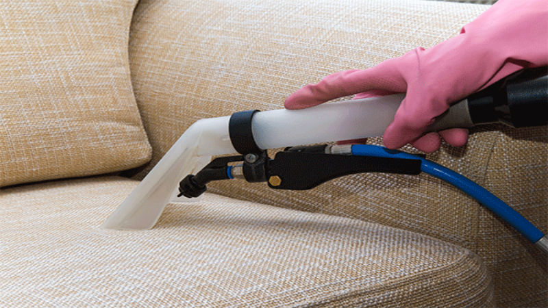 Keep Your Home Clean With The Help Of Carpet Cleaners in Bellingham WA