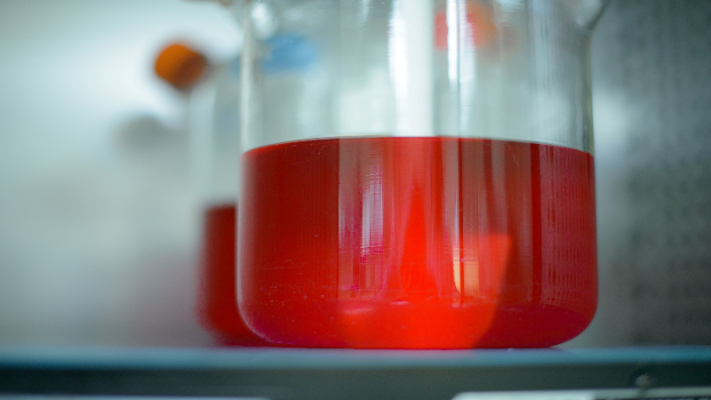 What to Know About Cell Culture Processing