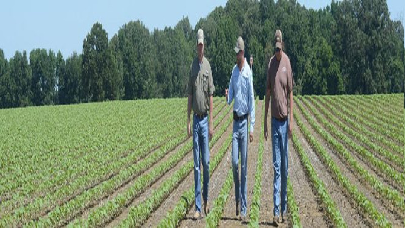 Services Related to Agriculture in Kindersley, SK Are Invaluable to Farmers