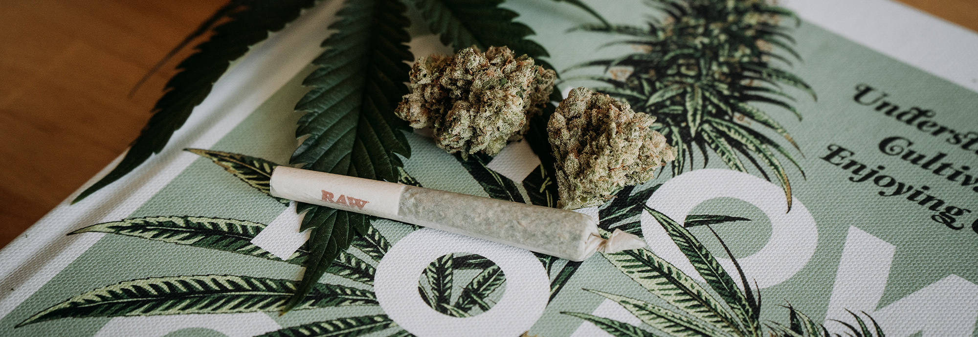 Find Solid Deals at the Best Dispensary in MA