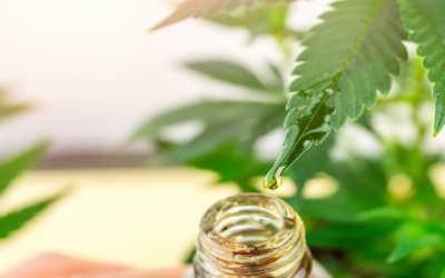 Browsing a Marijuana Dispensary Near Los Angeles, CA