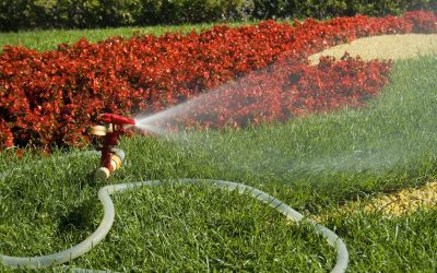 Sprinkler System Repair in Greenville, MI: Essential Tips For Efficient And Reliable Lawn Care