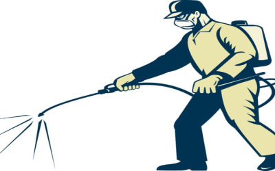 Protect Your Family from Infestations with Home Pest Control in Peachtree City, GA Solutions