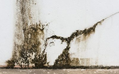 Prevent Long Term Issues Linked To Flood Damage In Coeur D’Alene ID Using Expert Advice