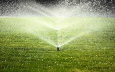 Why You Should Invest in Smart Irrigation Systems for Your Lawn