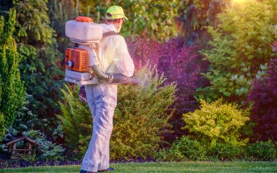 Tips for Seasonal Maintenance and Lawn Care Louisville, KY, Homeowners Need