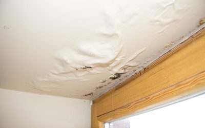 Restore Comfort to Your Home with Professional Water Damage Restoration in Aurora, IL