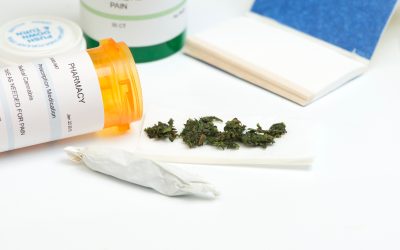 Experience Purity and Potency When You Buy Hemp Concentrates Online in the USA