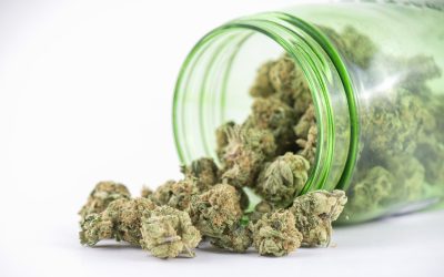 The Benefits You Get When Visiting a Marijuana Store in Grand Junction, CO