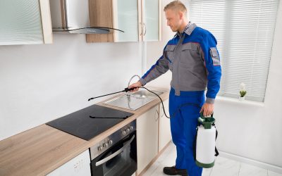 Reliable Pest Control Starts With a Skilled Exterminator Essex Fells NJ Can Count On