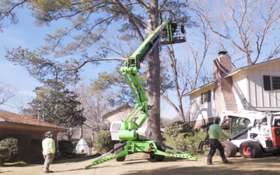 Improve Curb Appeal and Safety Through Professional Tree Service in Brooks, GA