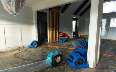 Common Problems a Water Damage Repair Company in Columbus, GA, Can Solve Fast