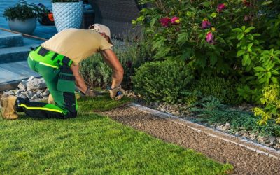 How Should Hardscape Meet Turf and Planting Areas?